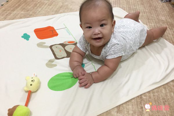  以色列 mezoome 有機棉床圍、四季被系列