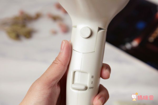 本 Create Ion 翻轉風 專業沙龍級負離子吹風機