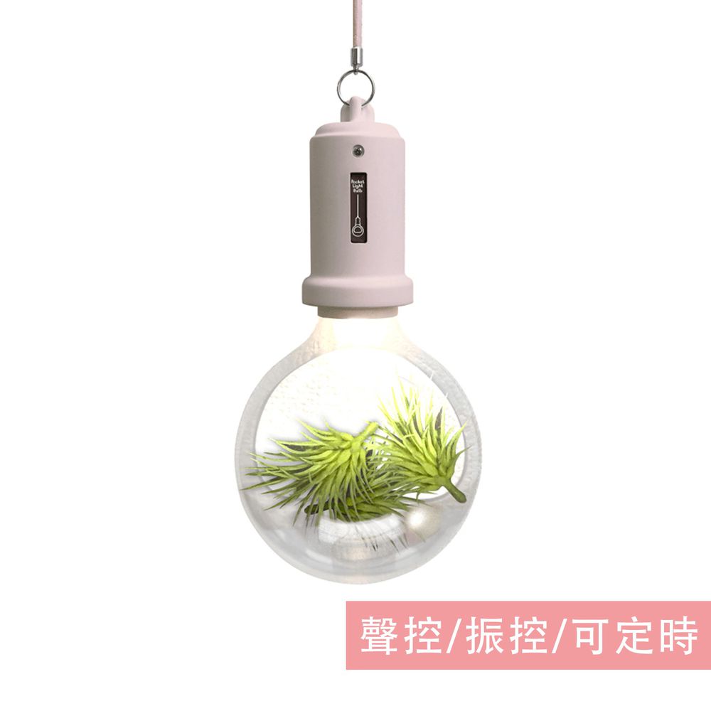 日本 TOYO CASE - LED 夜燈壁飾-燈泡小植物系列-粉紅 (約12x6x22cm)