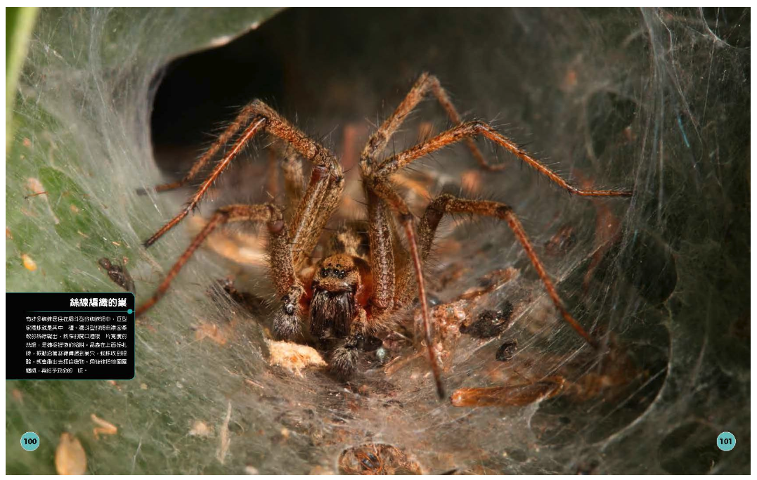 超能力昆蟲百科：地球上最大、最快、最致命的昆蟲與節肢動物 (精裝 / 208頁 /全彩印刷)