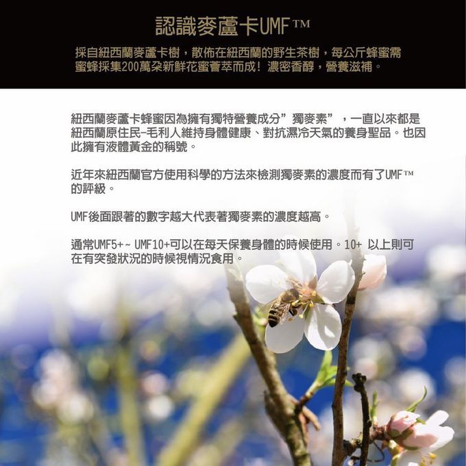 壽滿趣 - TaylorPass紐西蘭活性麥蘆卡蜂蜜 UMF5+-250公克