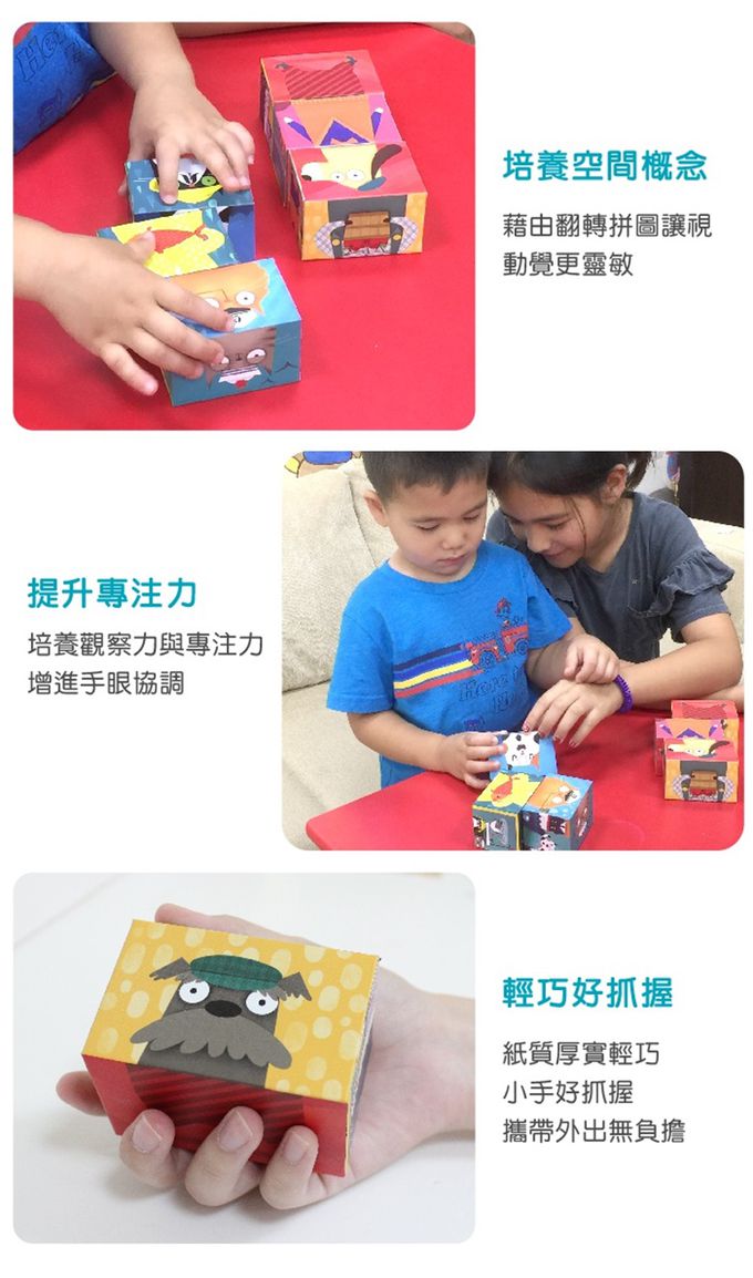 法國Janod - 方塊拼圖-我到底是誰(6塊)-(福利品出清/盒損）