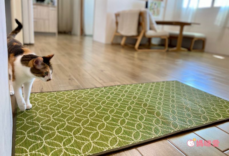 【日本池彥】高品質藺草 防蟎遊戲墊Ｘ草蓆Ｘ野餐墊