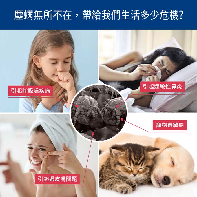 超大吸力，有效除蟎     