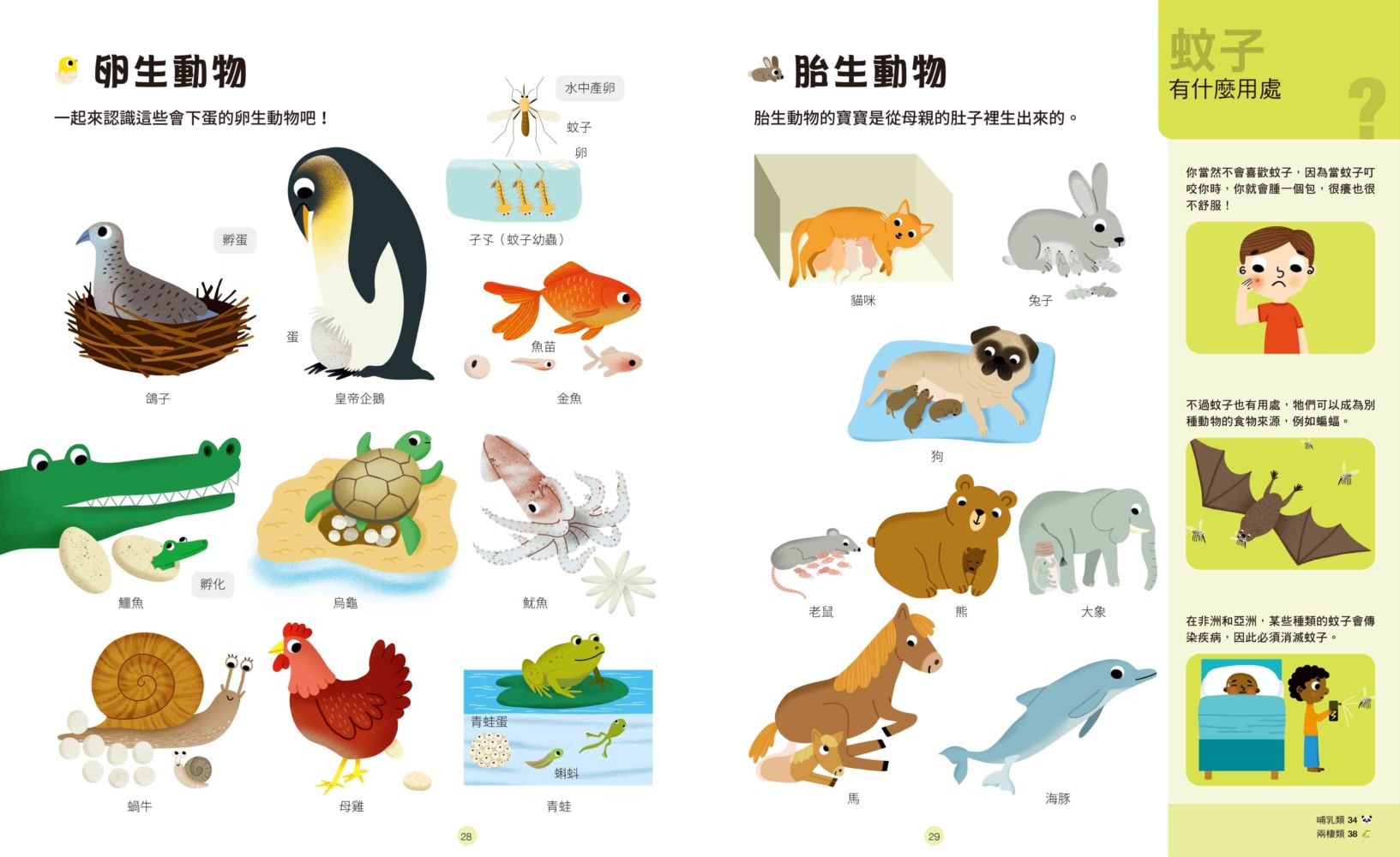 好奇心圖解大百科6奇妙自然