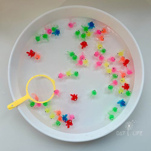 獨家組_慶典金魚組(迷你魚)+七色滴管組+三色入浴錠體驗瓶 (組合)