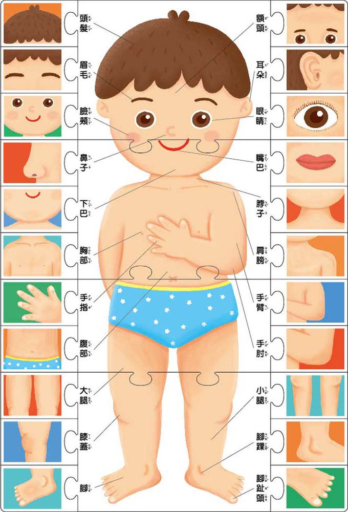 奇妙身體(支援多重點讀筆)-FOOD超人腦力開發圖卡教具*新版