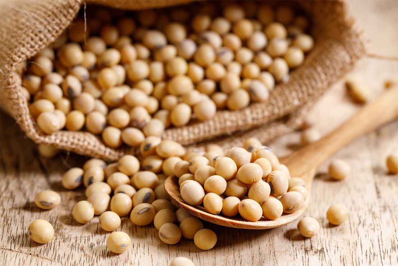 媽媽友 mamayo - kidzcrayon12色大豆無毒蠟筆精裝禮盒組