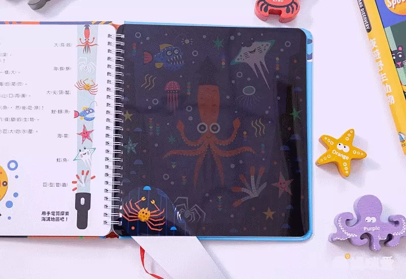 【禾流文創】拿起手電筒，來場夜間探險！『Spotlight！夜遊系列』