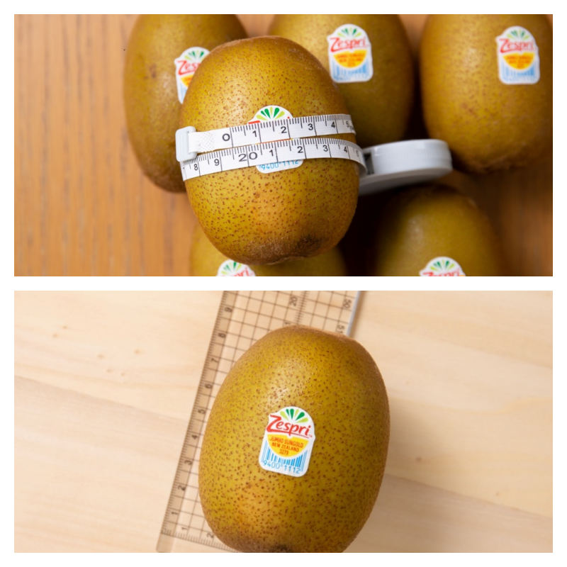 提升保護力！【Zespri 巨無霸金圓頭】 黃金奇異果