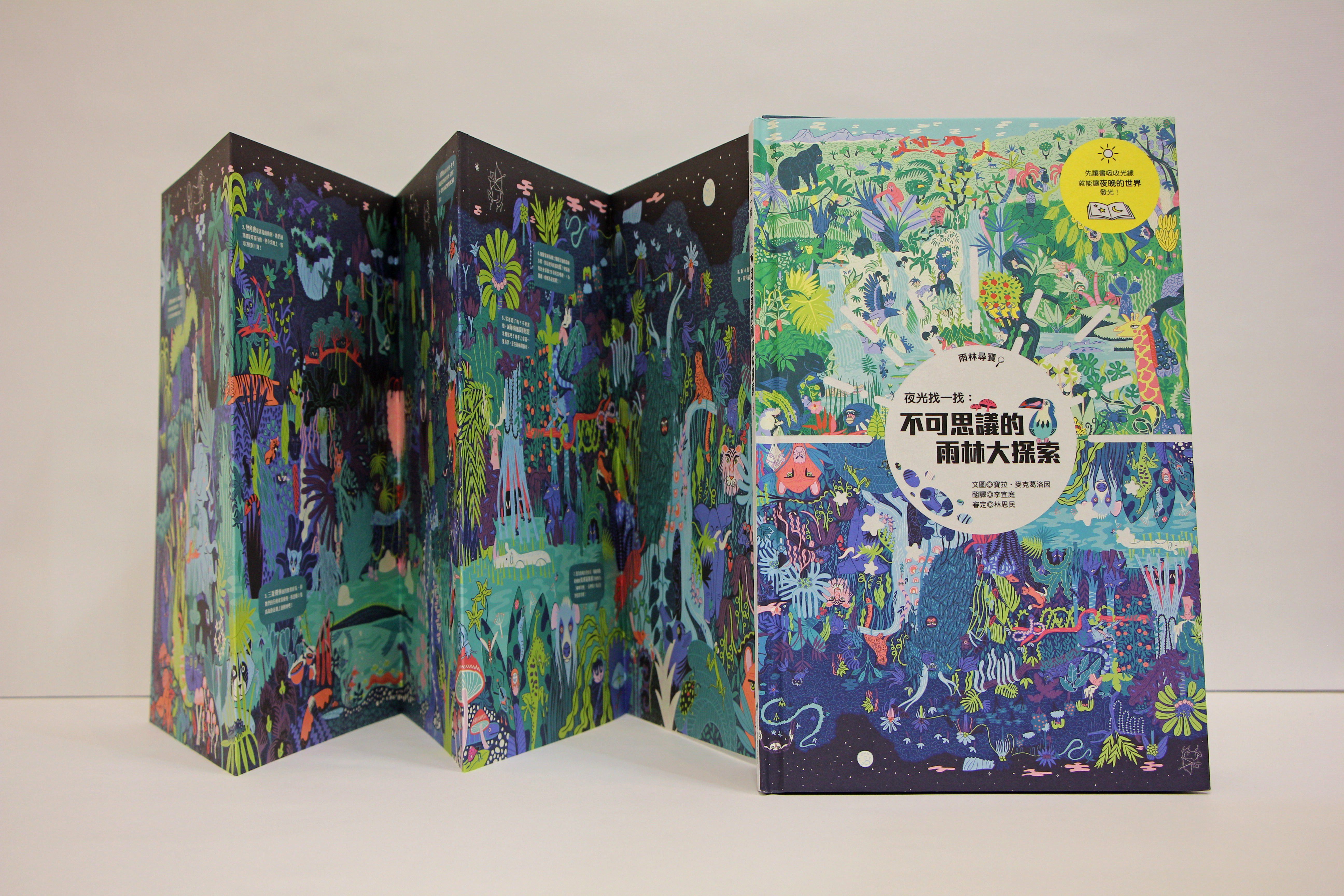 夜光找一找：不可思議的雨林大探索