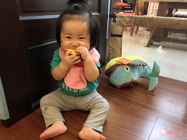 法國 Dolce Toys - 感統玩偶-貪吃鬼威爾