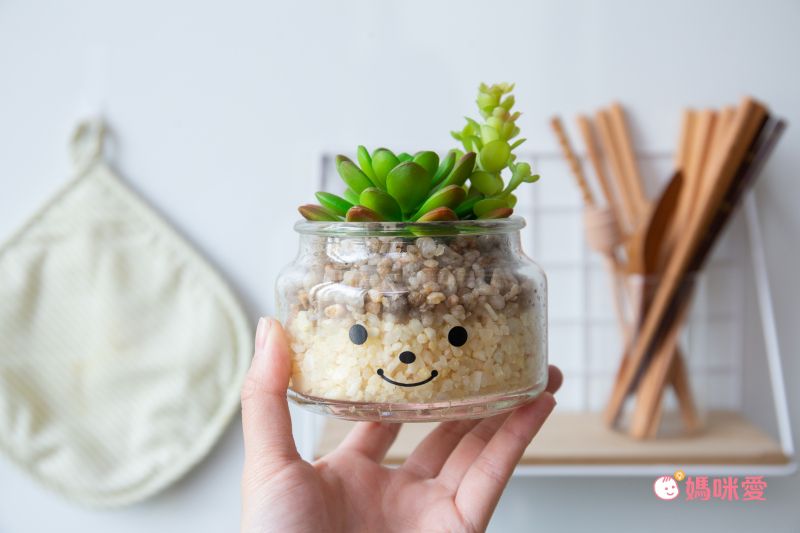 日本 KISHIMA - CT觸媒 開運消臭仿真多肉盆栽-成長-Daniel (L(φ10x11.5cm))