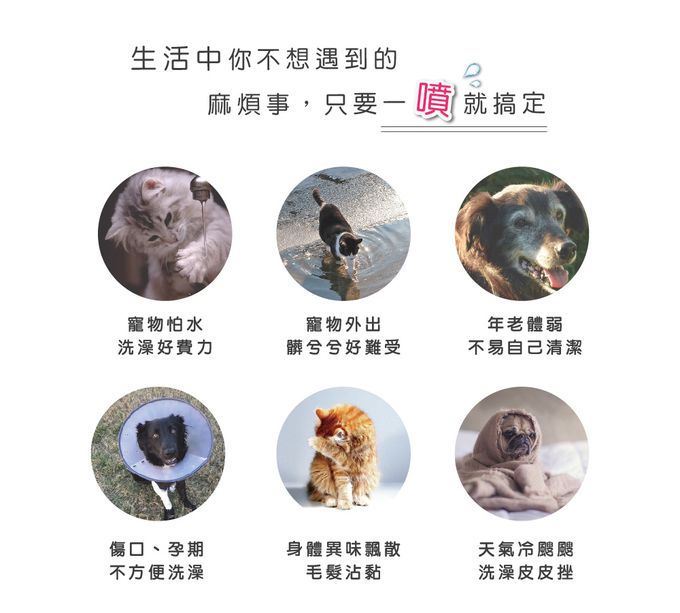 美國 ECOS - 天然寵物身體除臭清潔噴霧-薄荷清香-650 ml
