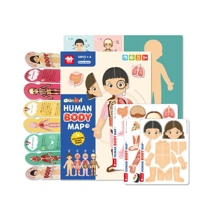 韓國 Ariati - 磁性遊戲板-人體認知