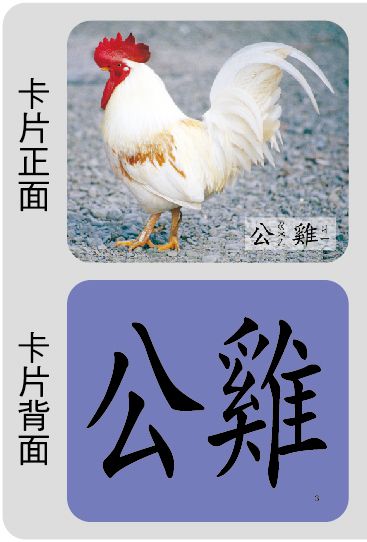 創意手提識字卡：動物(98新版)