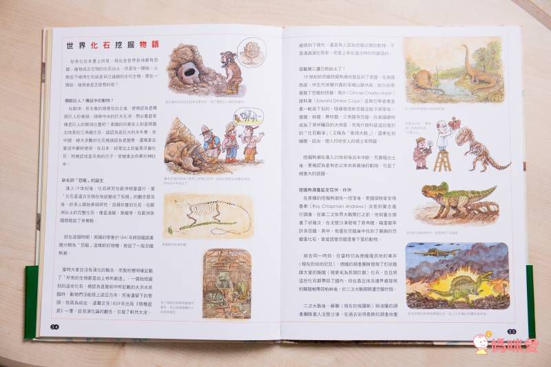 世界恐龍發現地圖