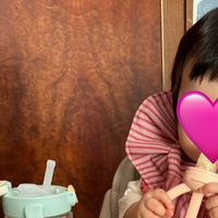 日本 Richell 利其爾 - TLI布逗兒三階段水杯禮盒組