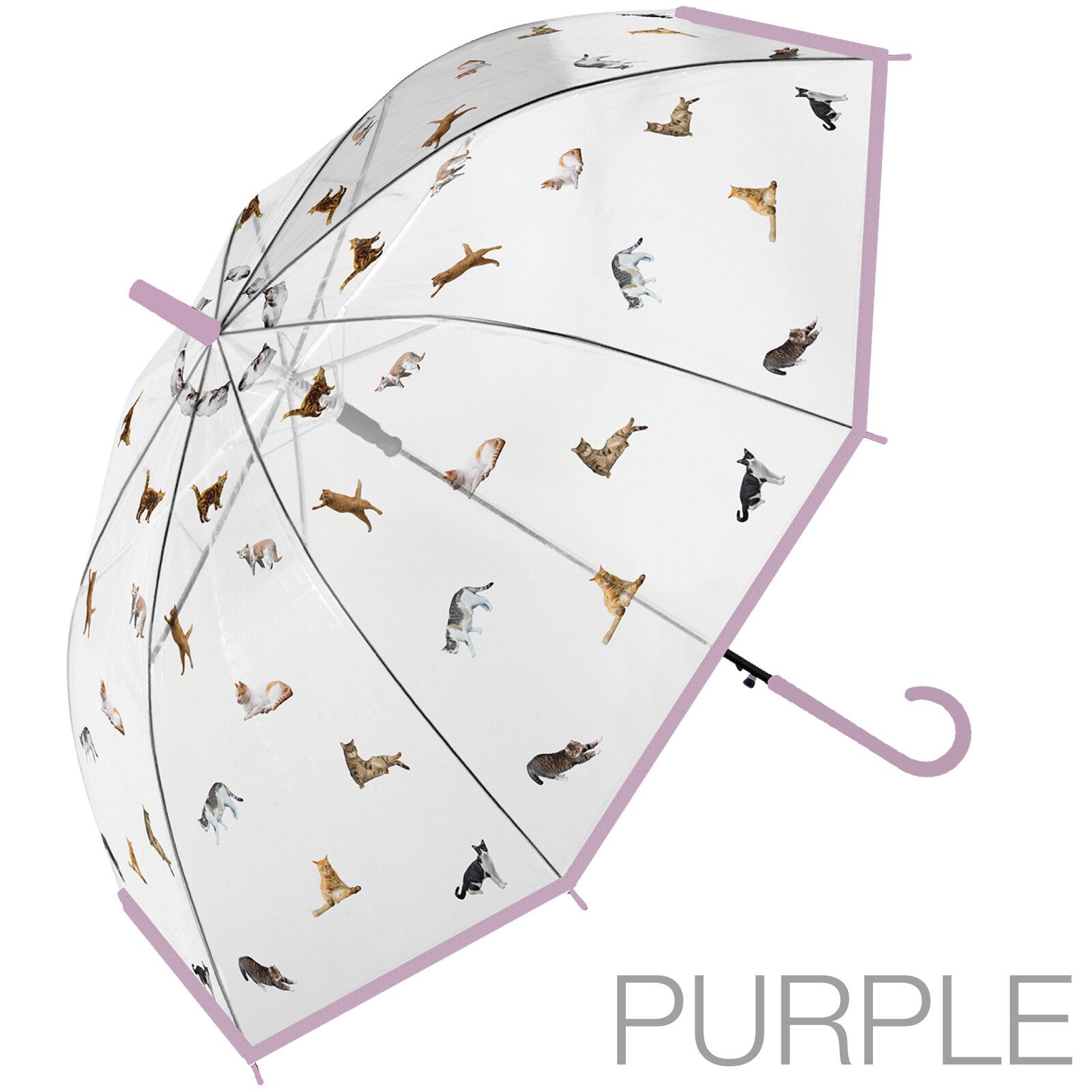 日本中谷 - [日雜推薦] 各種貓咪透明傘/雨傘-粉紫 (傘骨60cm)
