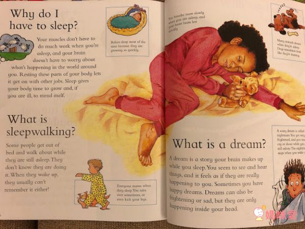 最佳兒童知識書籍♛泰晤士報讚譽【 I Wonder Why兒童百科大全套20冊】單本90元起！科學素養從小培養！