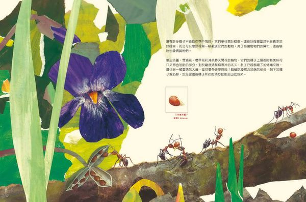 一顆種子的旅行