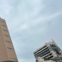 用戶頭像