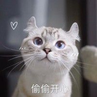 用戶頭像