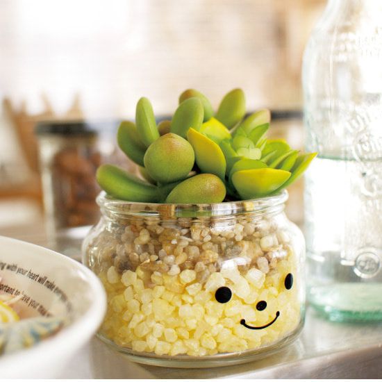 日本 KISHIMA - CT觸媒 開運消臭仿真多肉盆栽-成長-Daniel (L(φ10x11.5cm))