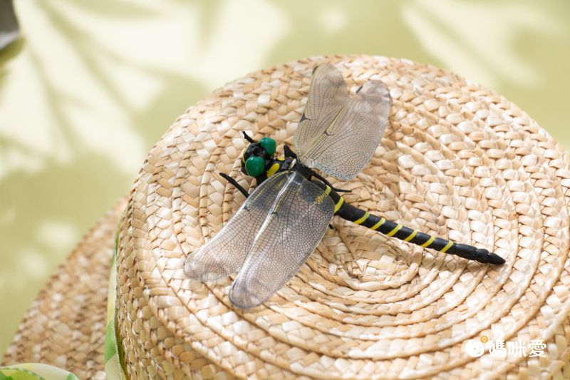 日本代購 - 超仿真蜻蜓君別針/吊飾-無霸勾蜓-黑x黃 (12x10.5cm)