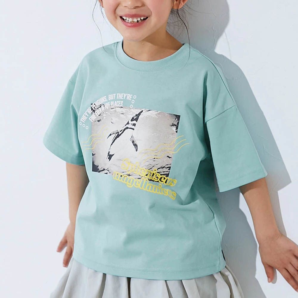 接觸涼感 抗UV變色短袖上衣(神戶水族館聯名）-企鵝-冰河綠