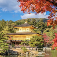用戶頭像