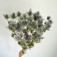 用戶頭像
