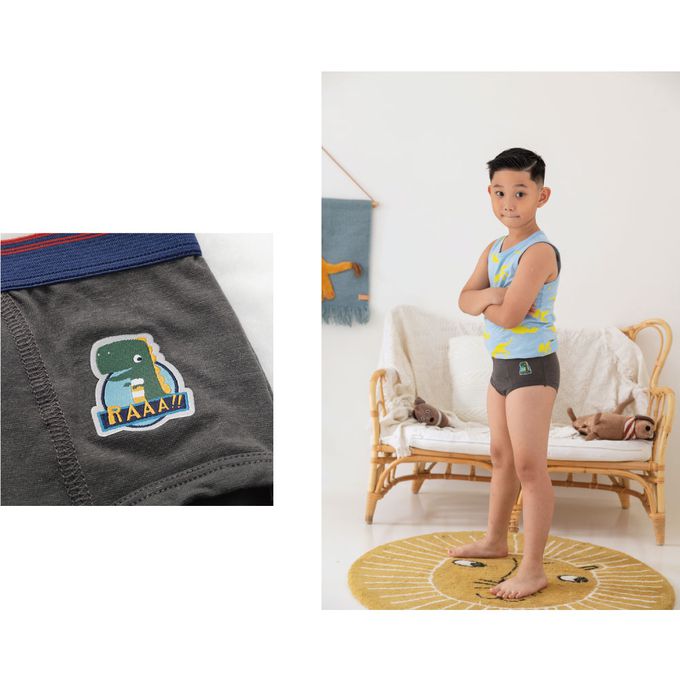 貝柔 Peilou - 天絲棉舒膚平衡童男三角褲-貼布繡-暴龍-灰