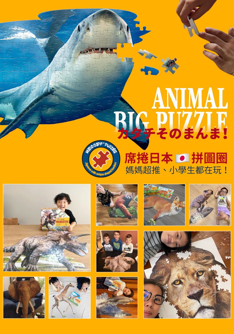 Madd Capp - I AM 動物拼圖-100,我是大白鯊