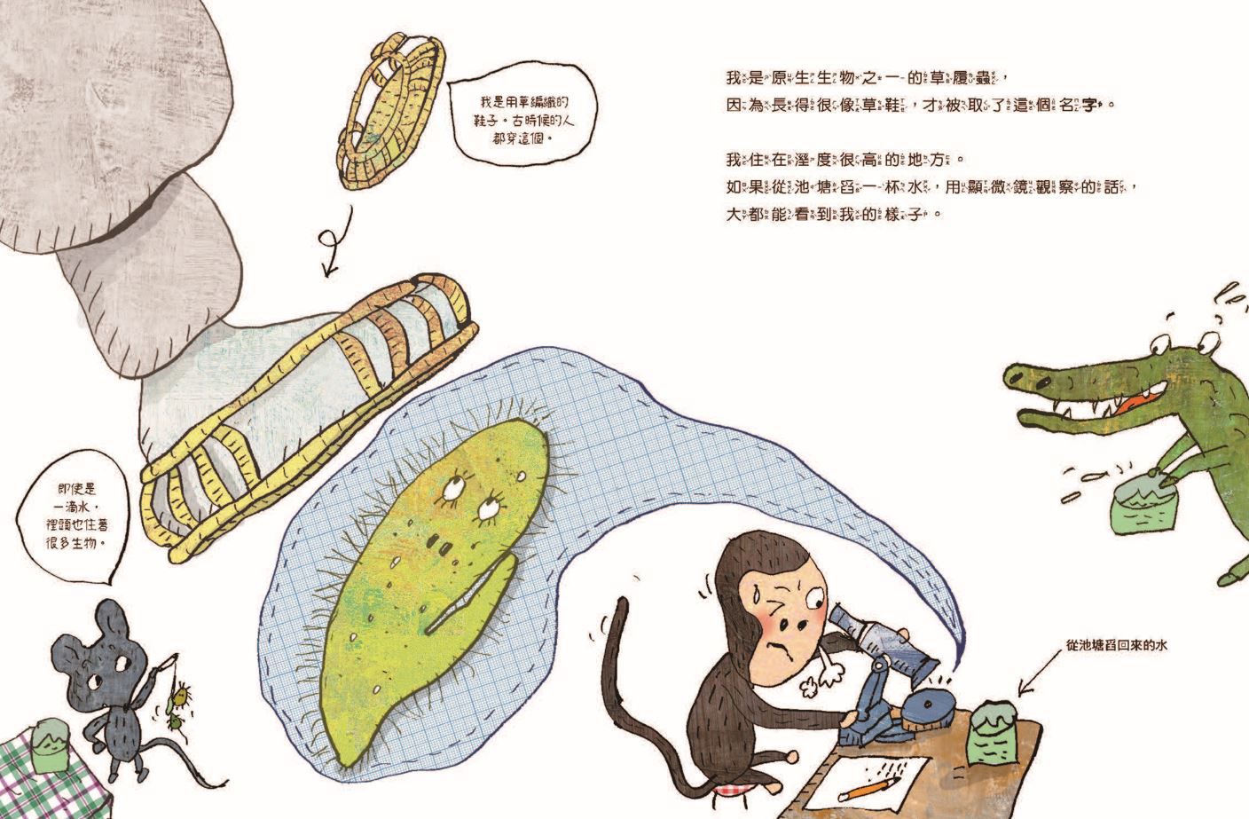 微生物小祕密系列1-4(共四冊)　:　破除刻板印象、認識生活中無所不在的細菌、病毒、真菌、原生生物-精裝