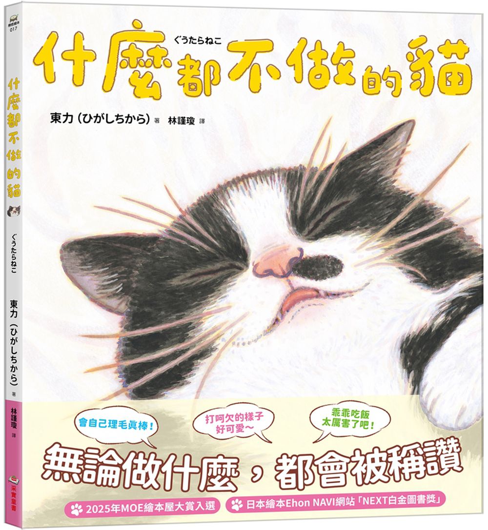 什麼都不做的貓