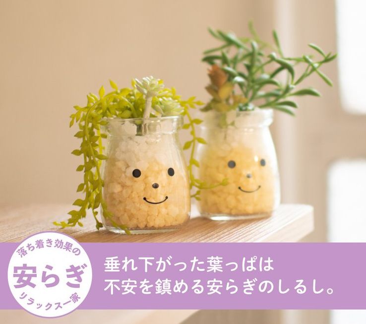 日本 KISHIMA - CT觸媒 開運消臭仿真多肉盆栽-RELAX-Hanna (L(20.5x15x12cm))