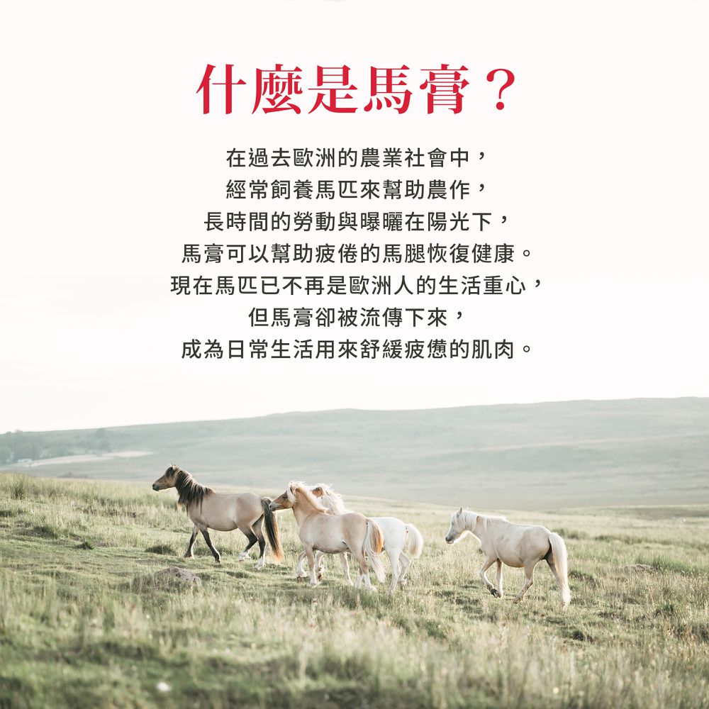 Sanct Bernhard 德國百年草本-馬膏(200ml/罐)