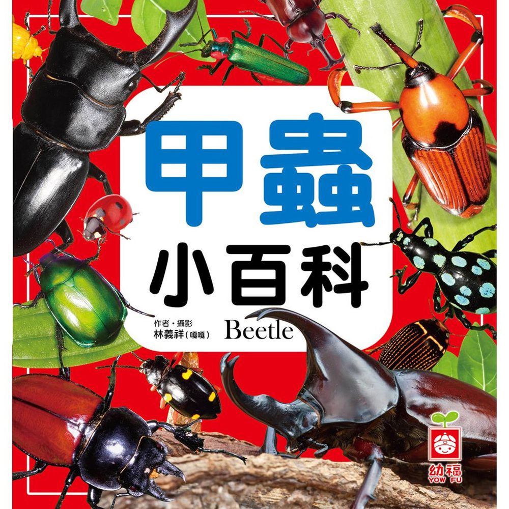 甲蟲小百科(全新小百科 正方形)