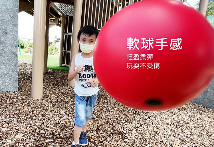 荷蘭BS - 門掛式健力球