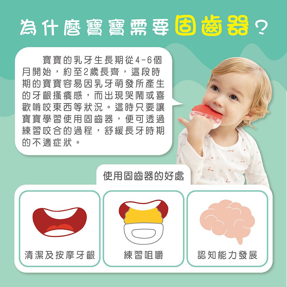 小牛津 - 手搖牙牙固齒器-手提盒10入裝-各種造型固齒器*10入