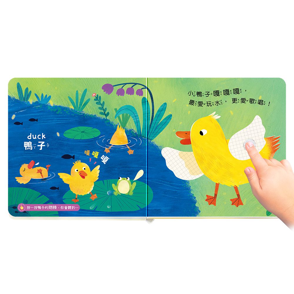 【白袍聯盟】這是什麼聲音 有聲書系列 (全套6冊)