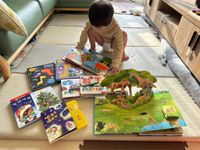 禾流文創 - Amazing!變形認知書 3本一套-變形恐龍認知書+變形動物認知書+變形魔法認知書