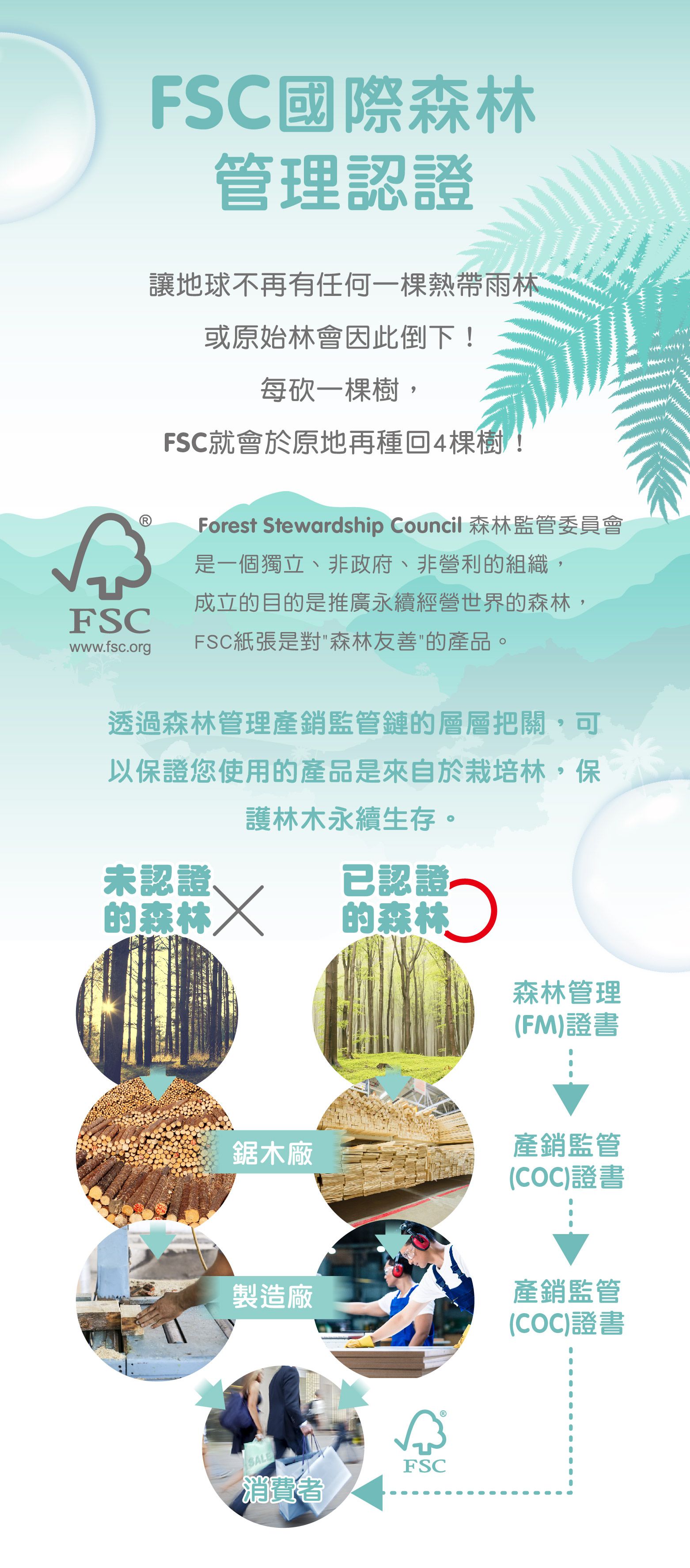 nac nac - EDI超厚純水濕巾-20抽/6入