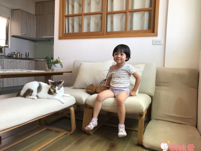 minihope美好的親子生活 - 抗菌除臭中筒襪(親子襪)-黑面琵鷺-灰