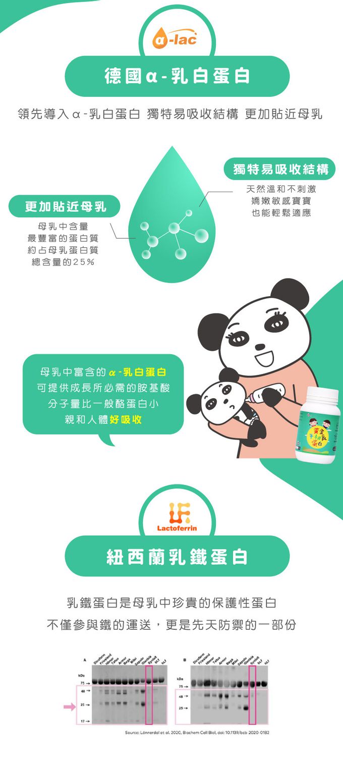 鑫耀生技Panda - 成長曲線UP-膠原海藻鈣粉+黃金牛初乳蛋白-200g+200g