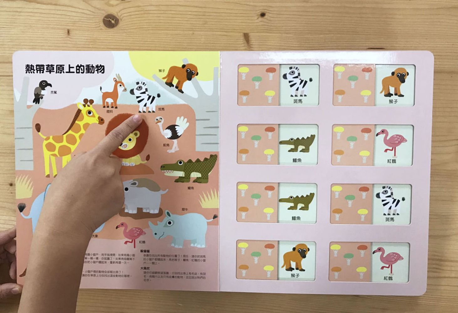 法國幼兒啟蒙記憶遊戲書：認識動物