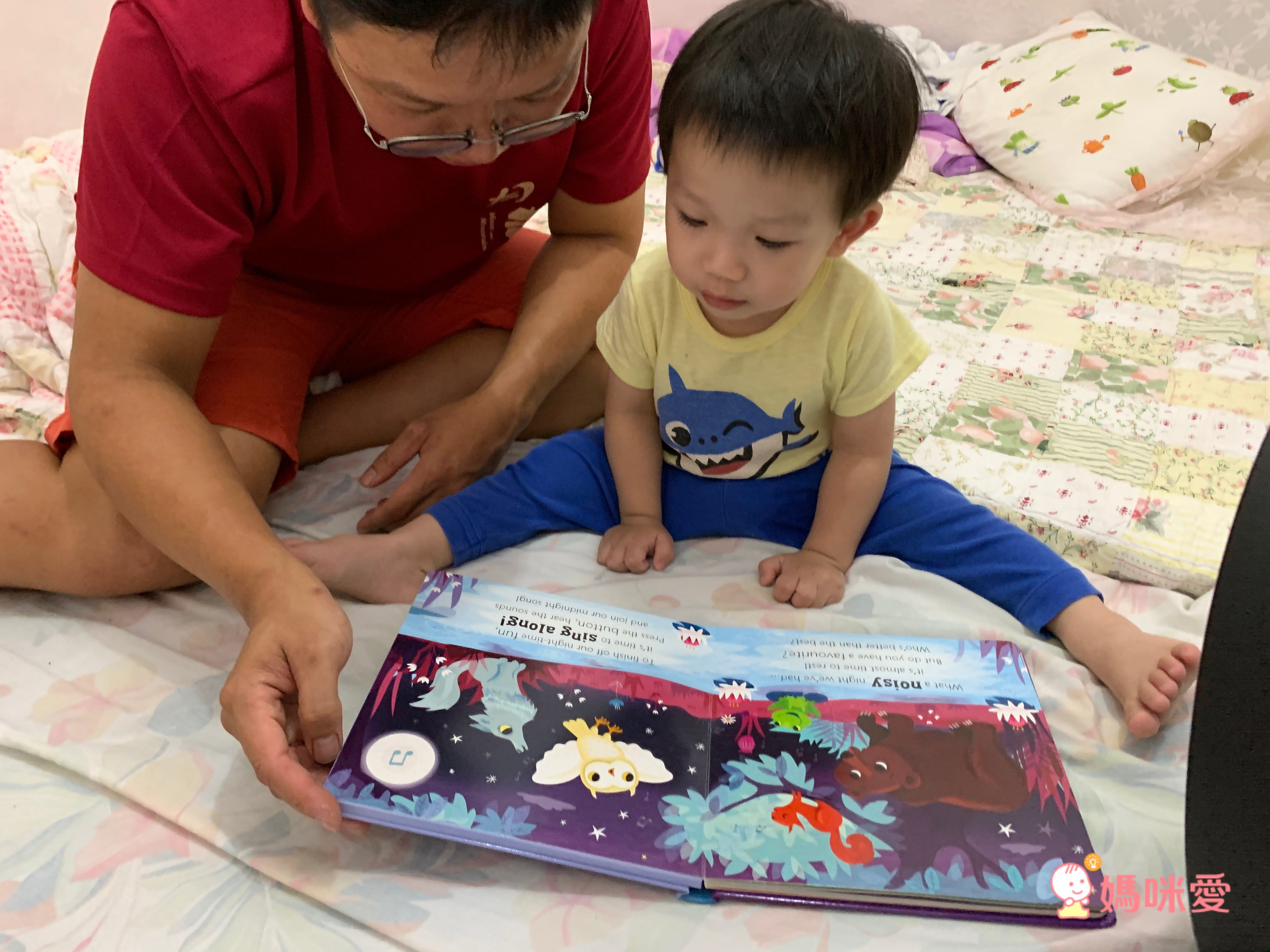 Owl says Hoot-Noisy Touch and Feel 熱鬧的森林夜晚 (觸摸音效書)