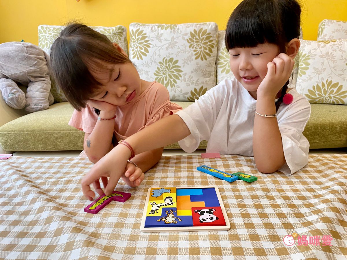 双美生活文創 - 5Q百變益智拼板：動物方塊-內附1組木製動物方塊+130題圍捕遊戲