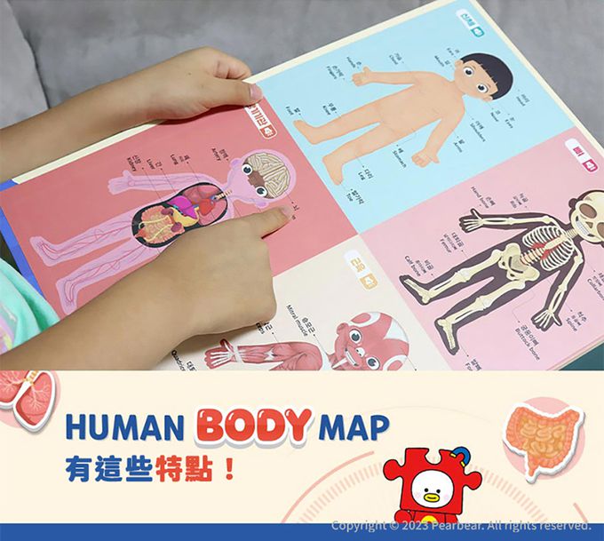 韓國 Ariati - 磁性遊戲板-人體認知